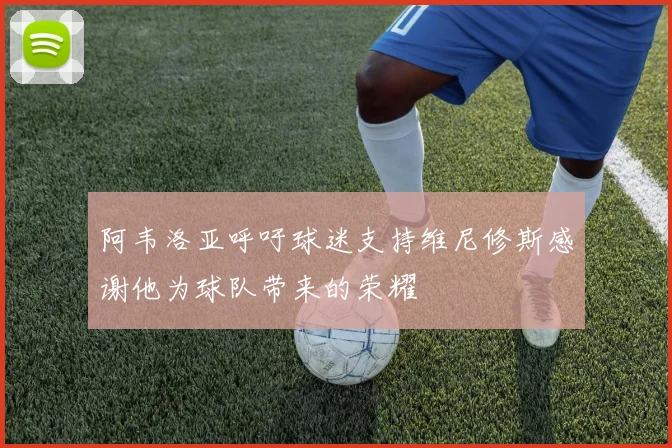 阿韦洛亚呼吁球迷支持维尼修斯感谢他为球队带来的荣耀